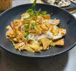 Traditional mexican chilaquiles with chicken, cheese, and crispy onions.